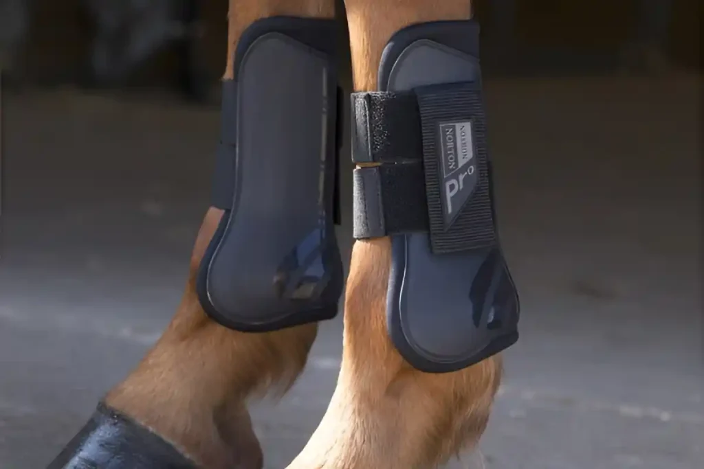 guêtres de cheval : comparatif et avis